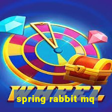 spring rabbit mq