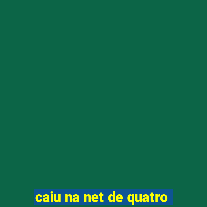 caiu na net de quatro