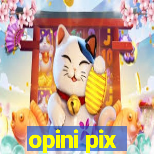 opini pix