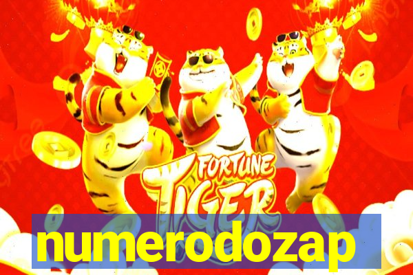 numerodozap