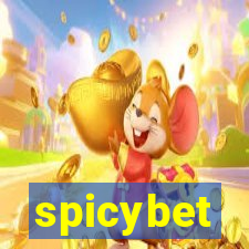 spicybet-3.com