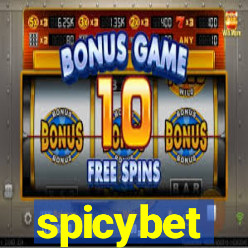 spicybet-3.com