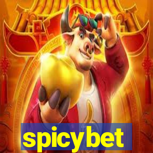 spicybet-3.com